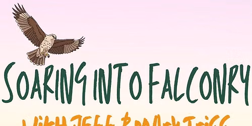 Soaring Into Falconry