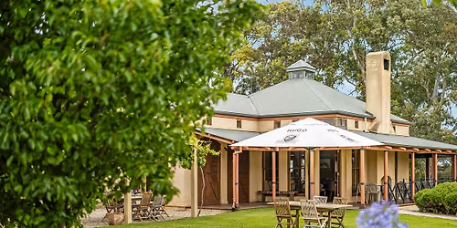 Hugo Wines Christmas catch up lunch