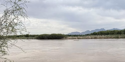 Nature Walk at Mesilla Valley Bosque State Park