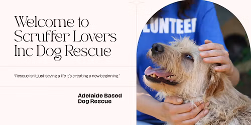 Meet & Greet @ Hahndorf Dog Retreat 