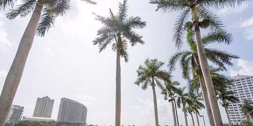 Taco 'Bout Tech with Northeastern University