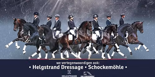 HENGSTENSHOW HENGSTENHOUDERIJ DE IJZEREN MAN