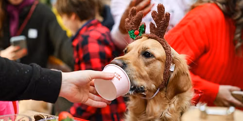 GOLDEN RETRIEVER CAFE CHRISTMAS - ESSEX