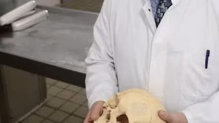 M\u00f6rdern auf der Spur