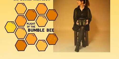 PLIGHT OF THE BUMBLE BEE (Movie Screening and Live Performance\/Soundtrack, by Brenda Castles)