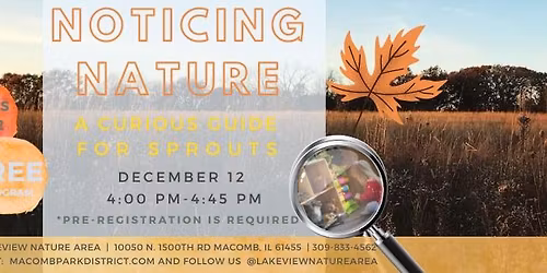 December Noticing Nature