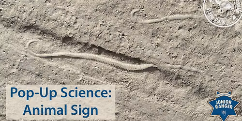 Pop-Up Science: Animal Sign