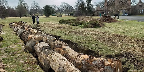 Nurturing the Remains: A Community Ritual at Jean Shin\u2019s Offering