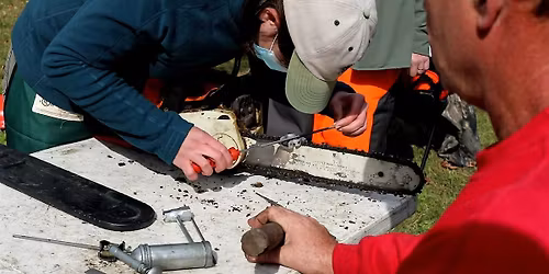 Women Owning Woodlands Game of Logging: Level 1