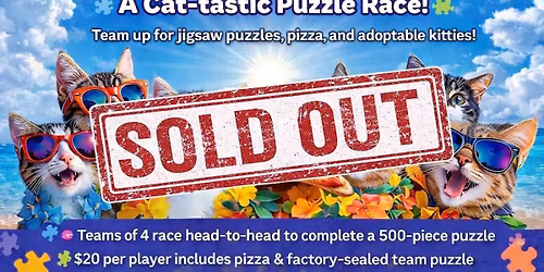 Puzzles & Purrs - A Cat-tastic Puzzle Race \ud83e\udde9\ud83d\udc3e