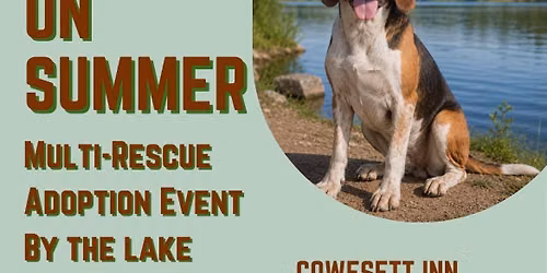 Bring on Summer Adoption Event!