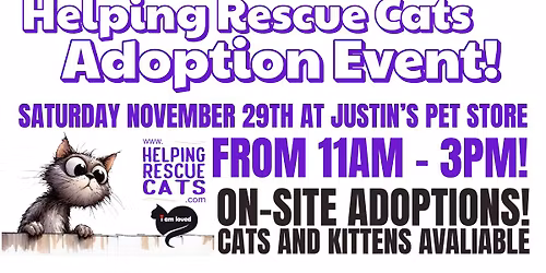 Helping Rescue Cats Adoption Event