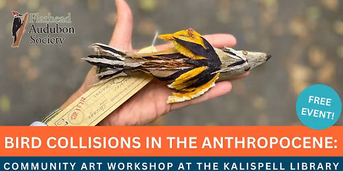 Bird Collisions in the Anthropocene: Community Art Workshop at the Kalispell Library