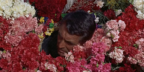 TO CATCH A THIEF (1955)