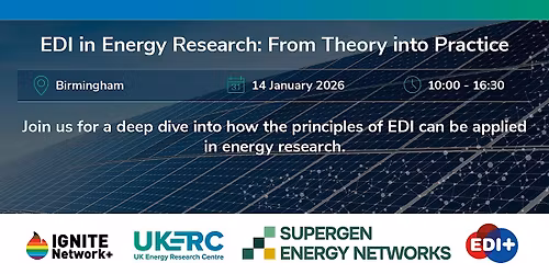 EDI in Energy Research: From Theory into Practice