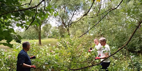 Daisy Nook volunteering sessions