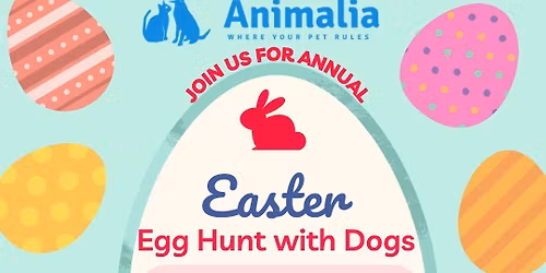 Easter Egg Hunt with Dogs