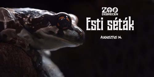 Esti s\u00e9ta V.