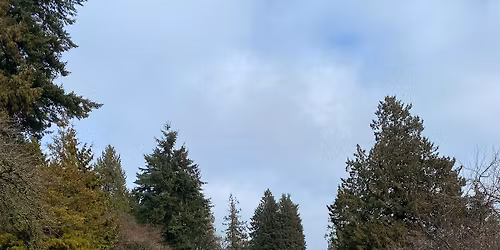 NWFM's Sixth Annual Holiday Market