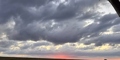 Flea market Location