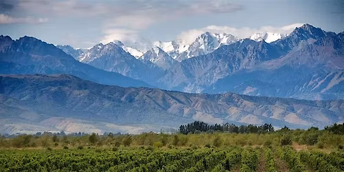 World of Wine Tasting: Argentina