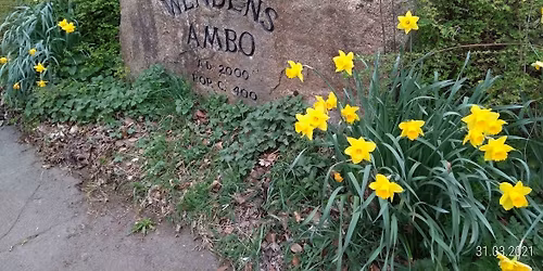 Saffron Walden Choral Society including Mozart "Requiem" and Vaughan Williams "Lark Ascending"