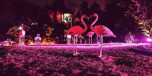 CFM \/ Flamingos Cocktail Party Milano: FuoriSalone 2026