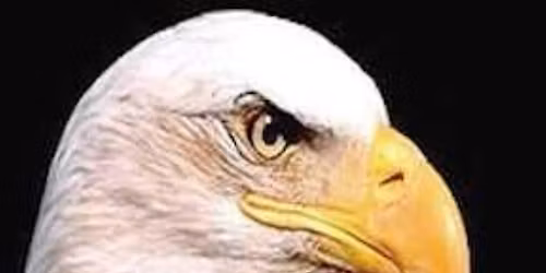 40th Annual Gathering of Eagles 2026