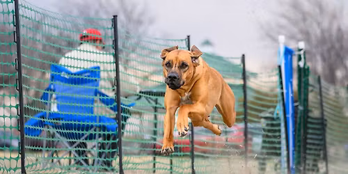 AAWC Lure Coursing Trial - Dec 6-7, 2025