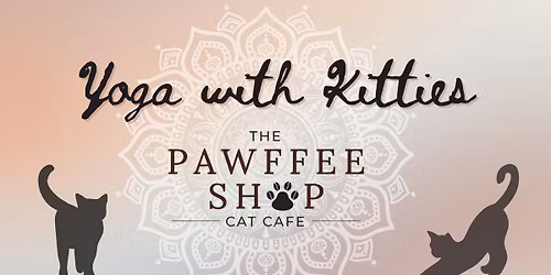 YOGA With Kitties!