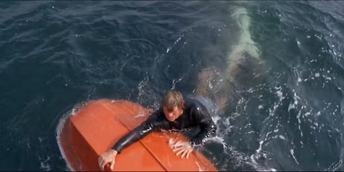 Movie at the Pier: Jaws