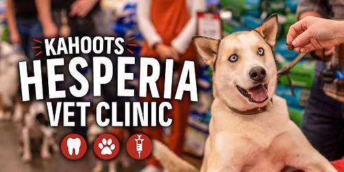 Low Stress Vet Clinic & Teeth Cleaning