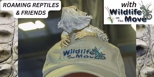 Wildlife On The Move Providing Roaming Reptiles & Friends at TRUNK or TREAT Event (McKinney, TX)