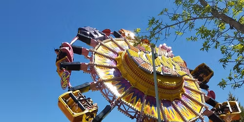 Parking Mamma Mia! - Calgary