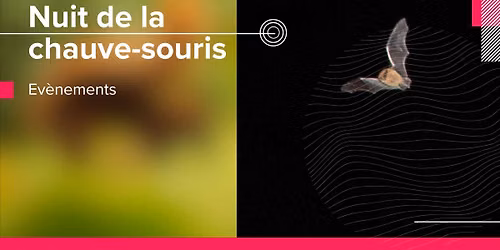 La Nuit de la chauve-souris