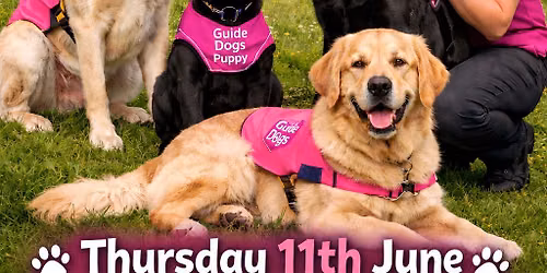 Meet & Greet Guide Dogs