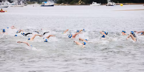 2026 Buzzards Bay Swim