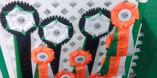 Medina Kennel Club Holiday Obedience Classic