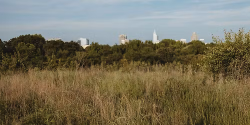 Common Ground: Perspectives on Health and Design in the Landscape