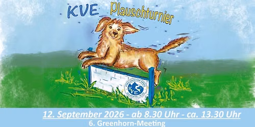 KVE Plauschturnier (kein Eintrag ins Leistungsheft)