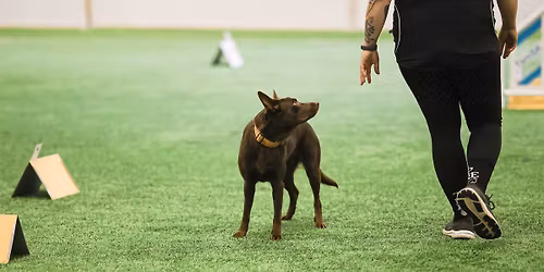 TamSKin rally-tokoepikset 17.11.2025