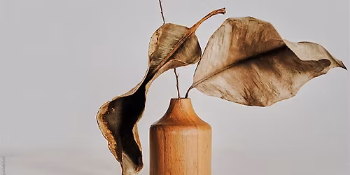 Natalie Ducastelle Therapy