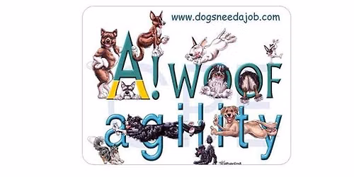 CPE Agility Trial - A!WOOF Agility