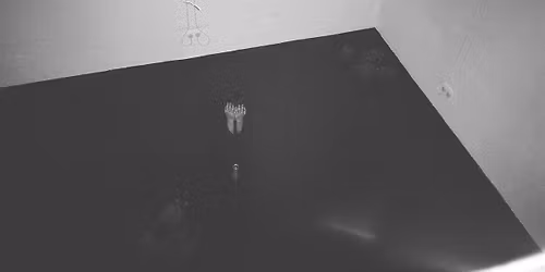 12 Years of Turf: In-conversation with Phoebe Russell