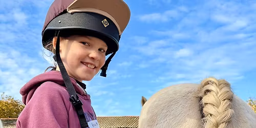 Festive 'Own a Pony'