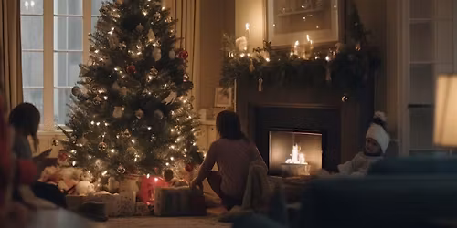 Stunt Cat & Friends Save Christmas