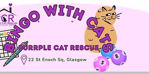 Charity Bingo with Cats!