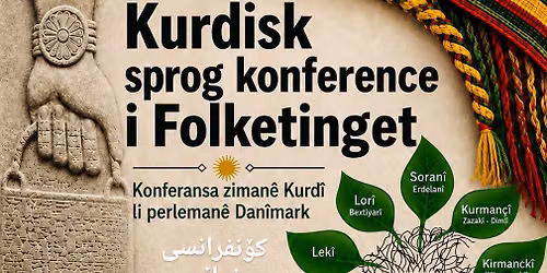 Kurdisk sprog konference i Folketinget 