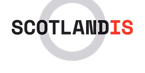 Cyber Resilience: The Performance Impact of Stress in Cybersecurity