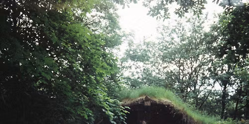 Jungle Boogie camping festival 2026